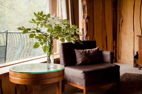 Huilo Huilo Nothofagus Hotel & Spa
