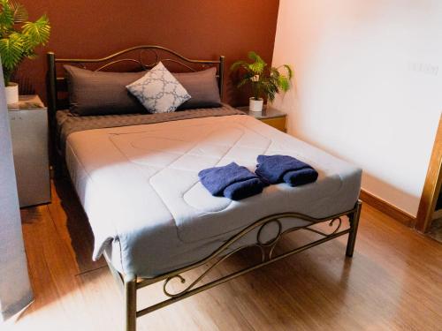 Chambre double, exécutif