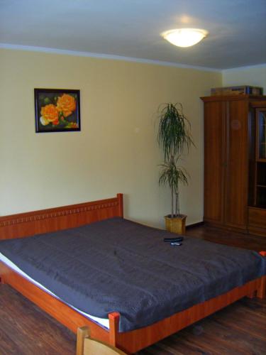 Apartment Comfort