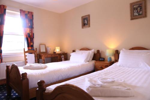 Twin Lions Hotel - image 4