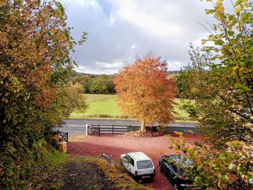 Cosy Rural Gilbert Hights Llandovery Cynghordy in Cynghordy