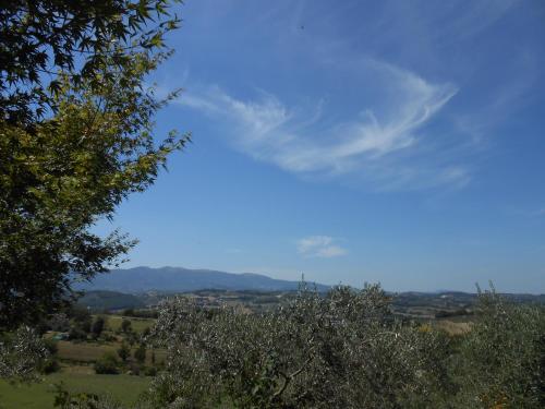  Villa Milù in Spoleto