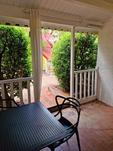 Joli appartement climatisé avec cuisine, salle d'eau, chambre et terrasse - Location saisonnière - Marigot