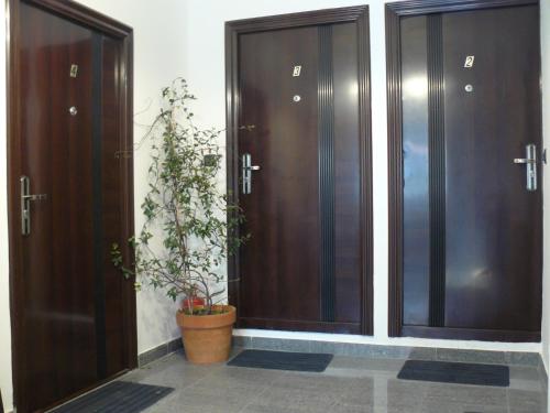 Celic Art Apartments - main image