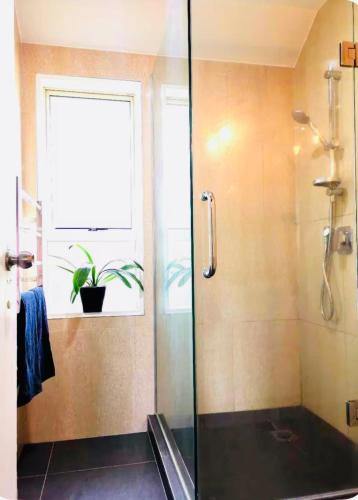 Christchurch Work Friendly Room in Ilam