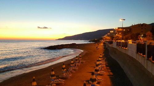 Sea Garden Hotel