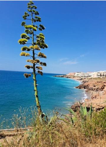Vue mer exceptionnelle sur la corniche