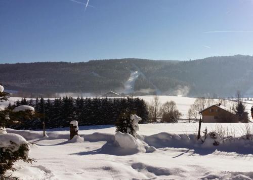 Skats, Chalet Mouthe 6 personnes in Brey-et-Maison-du-Bois