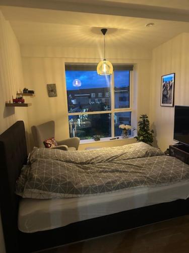 37-2-4 Dæmningen in Vejle