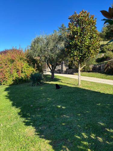 Agriturismo la Tana