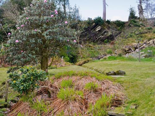 Kert, Crubisdale in Kilmun
