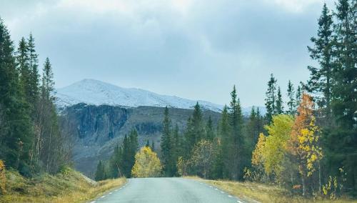 Kittelfjäll Vandrarhem (Kittelfjall Vandrarhem) in 키텔피얄