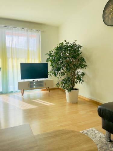 Vantage Point 101 in Olten, Schweiz