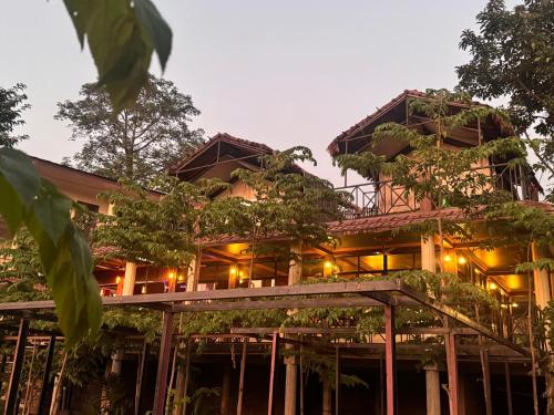 Jungle Wildlife Camp - Tap to explore photos