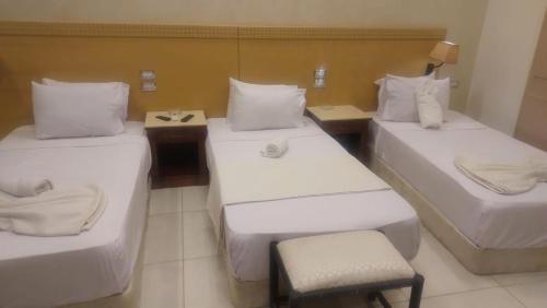 New Pharoah's Palace hotel - image 7