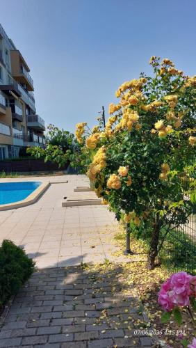 Апартамент Феличита in Byala