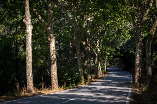 Casas do Patio Country Houses & Nature Ideally located in the prime touristic area of Caldas da Felgueira, Casas do Patio Country Houses & Nature promises a relaxing and wonderful visit. The hotel offers a wide range of amenities and perks