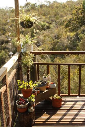 Létesítmények, The Potters Hut in Matjiesrivier (Western Cape)