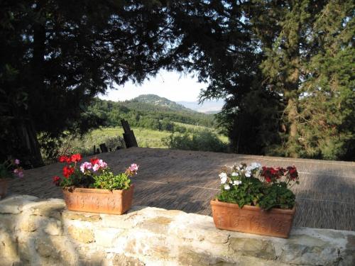 Fattoria il Leccio - Appartamento con terrazza in Fiesole