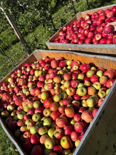 Jåstad Gjestetun (Jastad Gjestetun) in ลอฟทุส