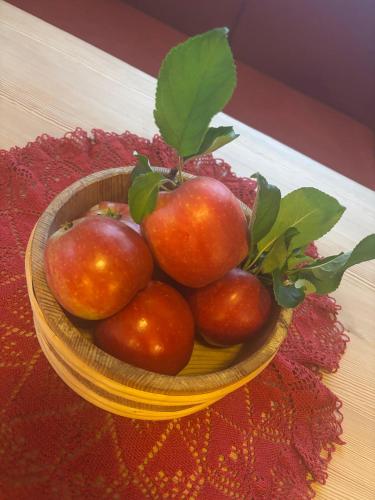 Jåstad Gjestetun (Jastad Gjestetun) in ลอฟทุส