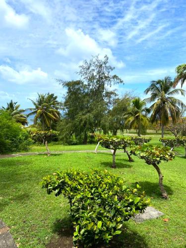 Studio Les pieds dans l'eau village vacances - Location saisonnière - Sainte-Anne