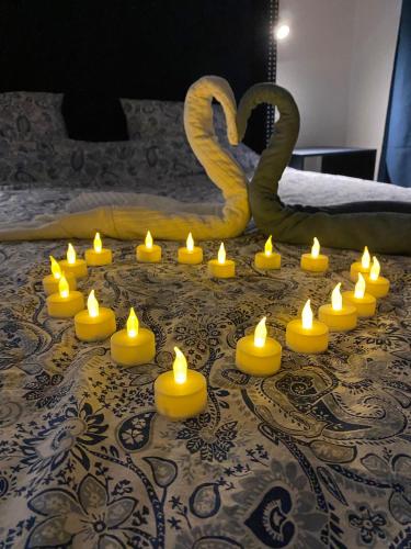 Grote Markt suite 3, Antverpy
