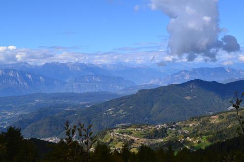 Albergo Aurora - image 13