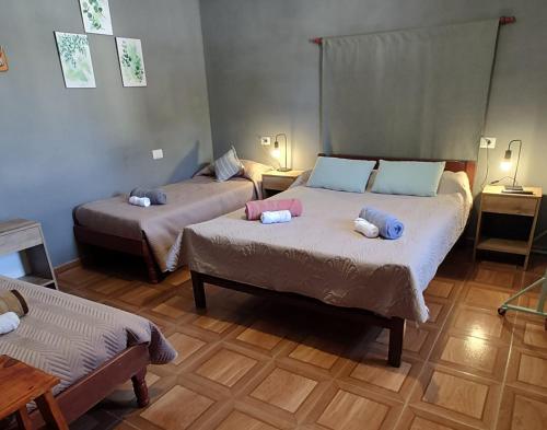 Raíces Hospedaje (Raices Hospedaje) in 烏瑪華卡