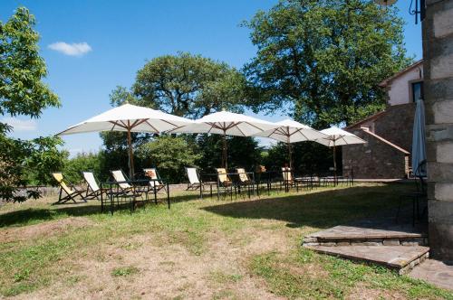 Aed, Agriturismo I Rondinelli in Arcidosso