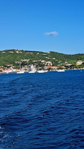 Fleur de Lys 2 in Petit-Bourg