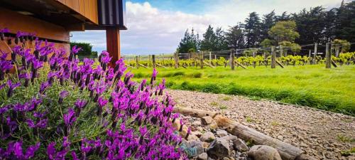 The Savvy Retreat - vineyard views in Martinborough