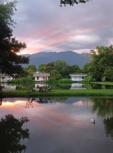 Bueng Pai Farm บึงปายฟาร์ม in Mae Hi