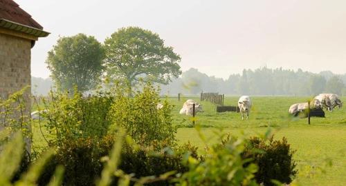 B&B Het Weiland - image 8