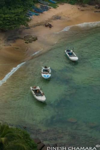 Pearl bay homestay - image 2