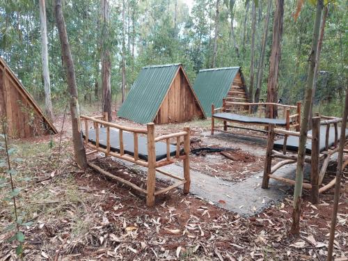 View, Sirimon Base Camp in Nanyuki