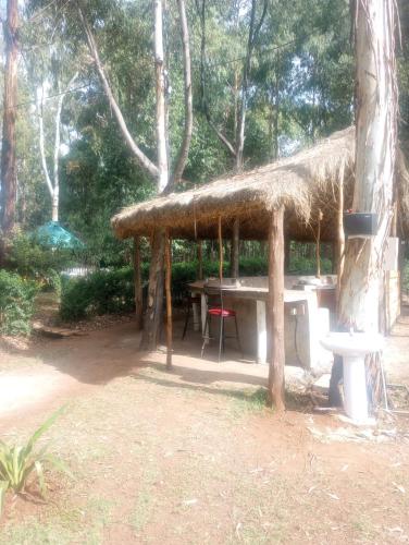 Sirimon Base Camp in Nanyuki