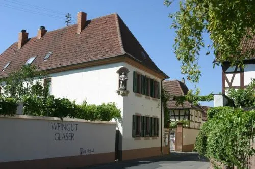 Bioweingut Glaser in Hainfeld, Deutschland