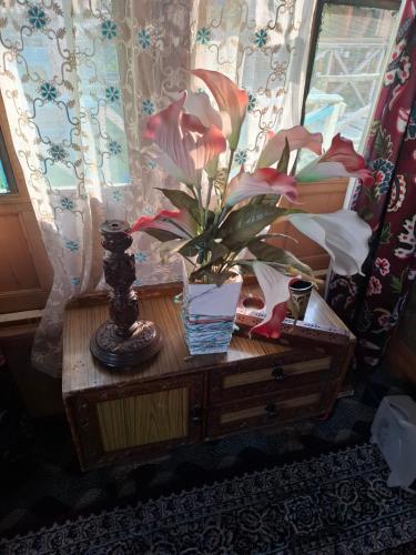 Houseboat Shagoo photo 2