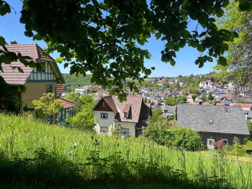 Herz Ferienwohnung in Frankenblick