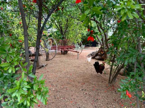 Rus n Bietjie Guest House in Loxton