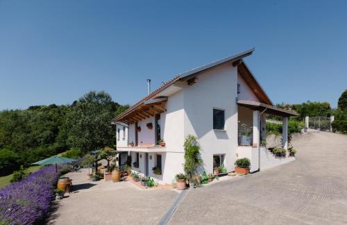 Viesnīcas āriene, Guest House Ferri e Zani in Cavatore