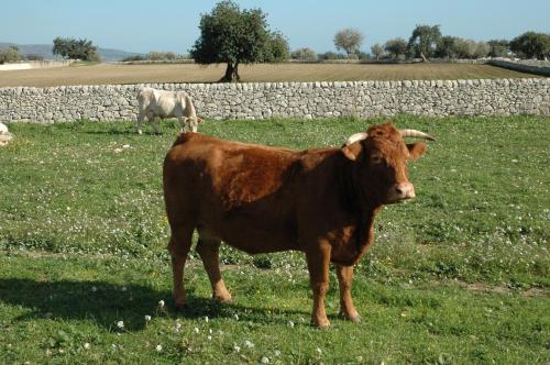 Agriturismo Il Melograno