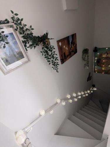 The Akasaka Central Stay