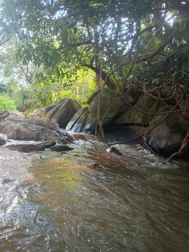 Nature Spot Cottages Coorg in Kutta