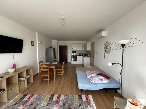 519 Family Apartment 2 near by Heroes Square with free garage - image 6