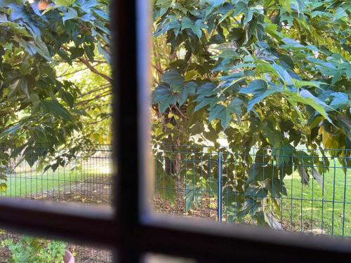 Skats, Maison à la campagne 4 à 6 personnes proche JONZAC (Maison a la campagne 4 a 6 personnes proche JONZAC) in Marcillac (Aquitaine)
