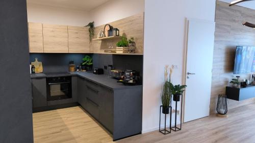 Konyha, Apartmán Krušnohorec pod Plešivcem (Apartman Krusnohorec pod Plesivcem) in Abertamy