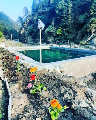 Tirthan Valley Cockaigne