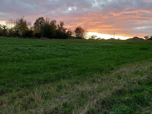 Gemütliches Ferienapartment Für jedes Budget (Gemutliches Ferienapartment Fur jedes Budget) in 霍爾豪森